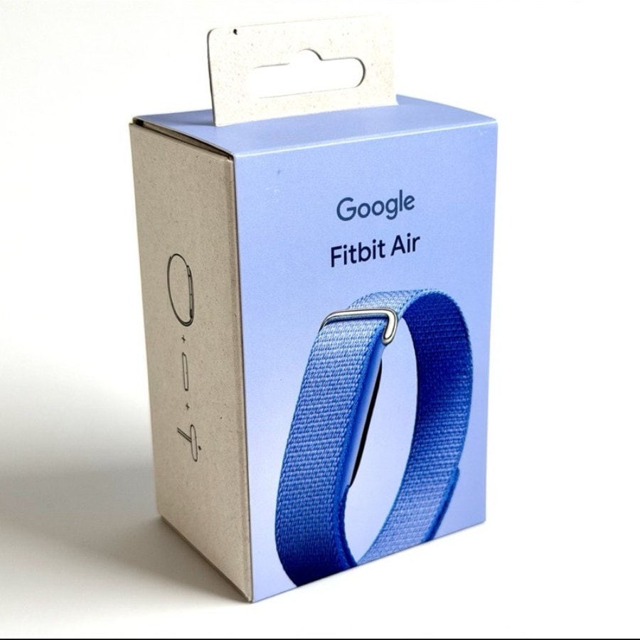 Google Fitbit Air