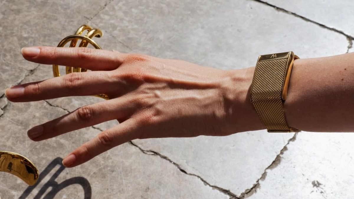 WHOOP 5.0 Meridian Band — Milanese Mesh — view 2
