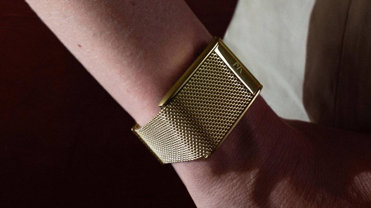 WHOOP 5.0 Meridian Band — Milanese Mesh